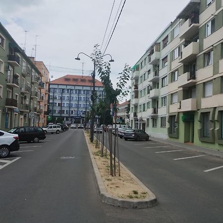 Central White Apartment 사투마레 외부 사진
