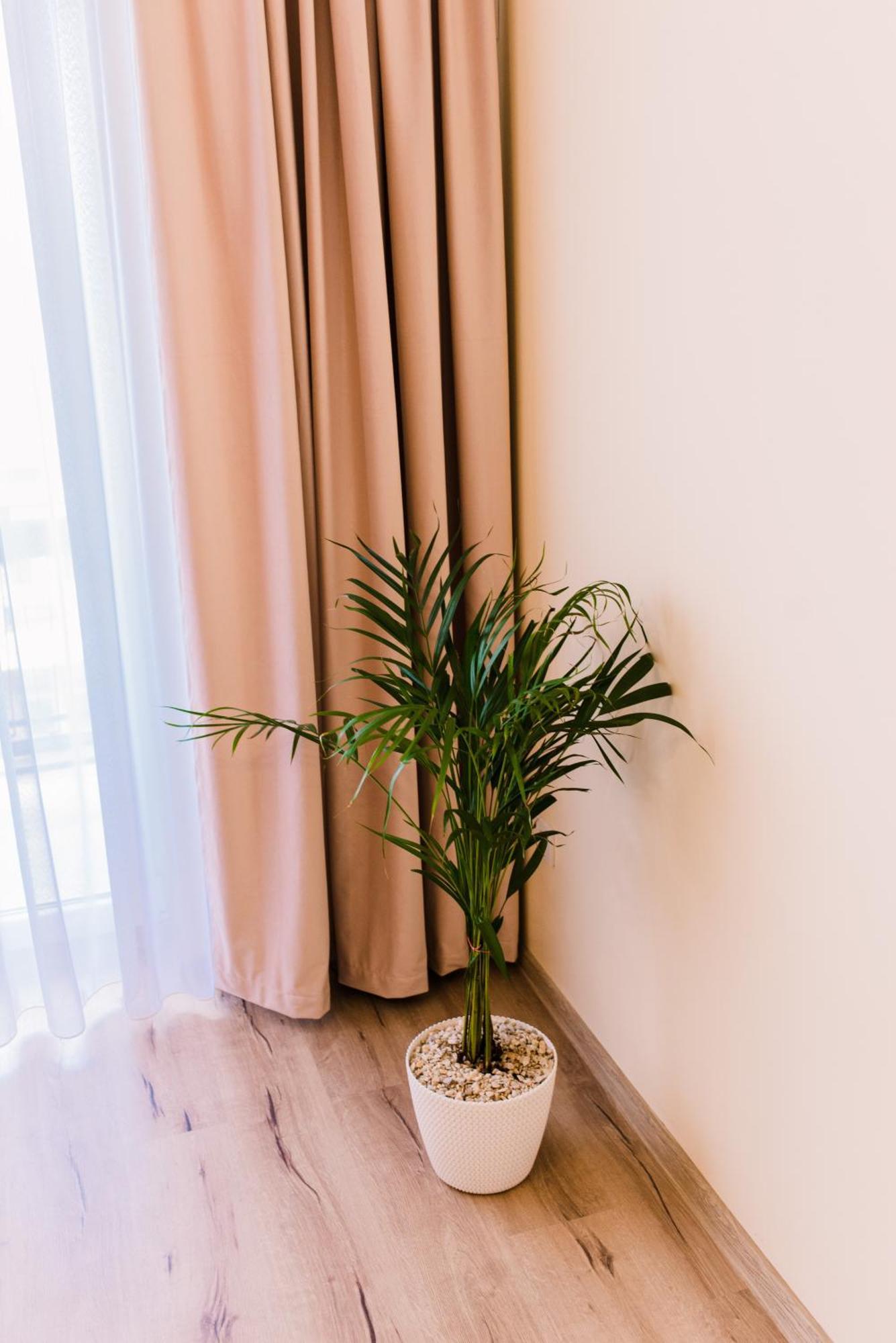 Central White Apartment 사투마레 외부 사진